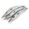 BARACUDA FISH
