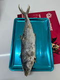 KING FISH WHOLE