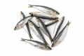 SARDINES