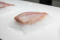TILAPIA FILLET